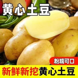 山东农家黄心土豆9斤装 新鲜蔬菜自种