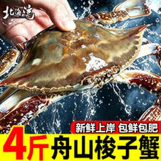 舟山特大梭子蟹4斤装 鲜活海鲜水产